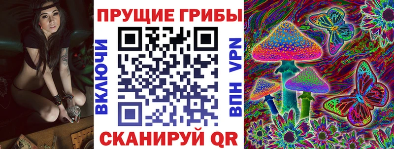 цены наркотик  Салаир  Псилоцибиновые грибы Psilocybine cubensis 