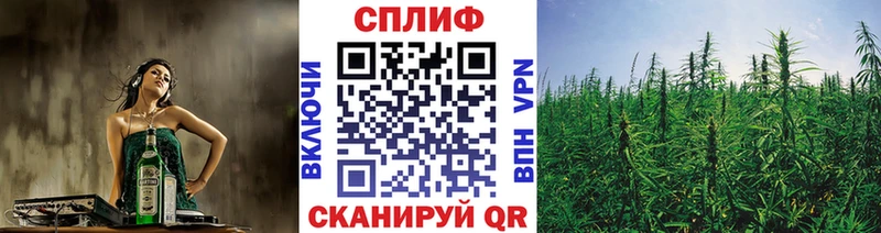 Конопля семена  Салаир 